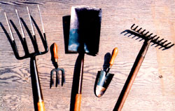 Choosing Christmas Gifts for the Gardener Image